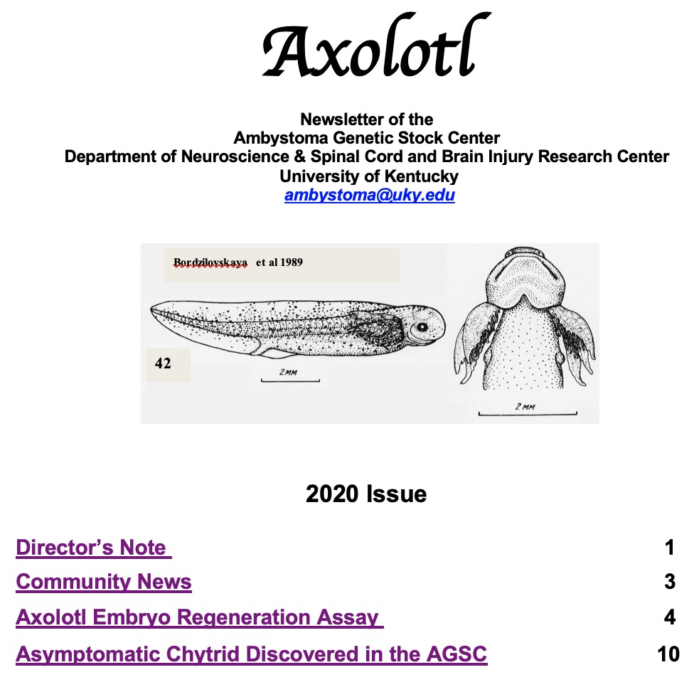 Axolotl_Newsletter.jpg